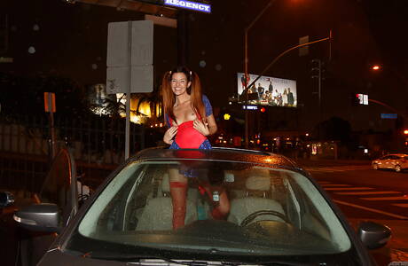 Zishy picture collection featuring Tracy Mitchell exhibit beautiful shape